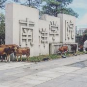 厦门南洋经管学院的微博_微博