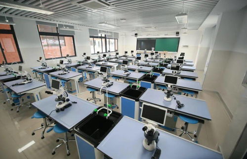 新校园 新希望 现代科技和传统文化,在这碰撞出奇妙火花