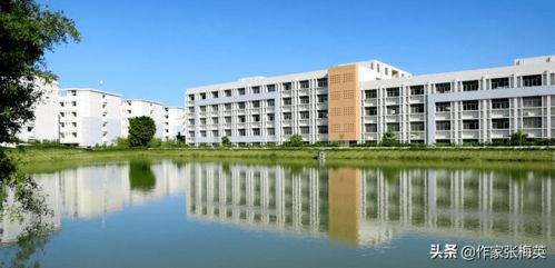 高考志愿填报 广东最受考生欢迎的5大城市,哪个学校条件最好