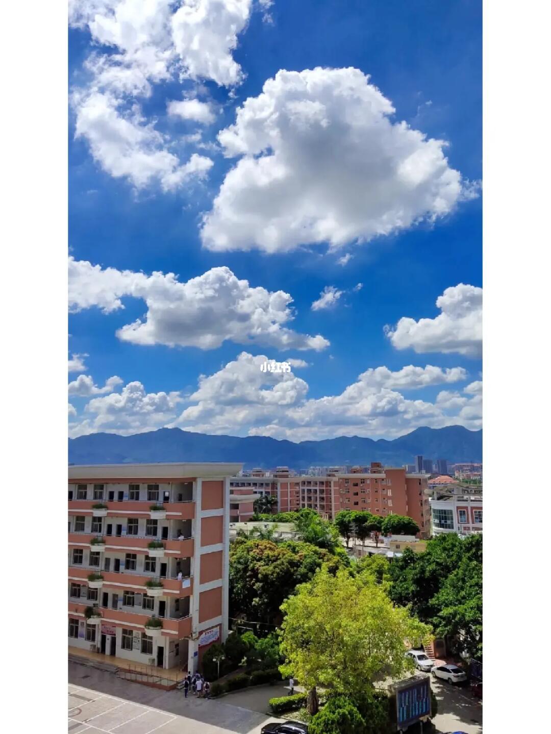 厦门南洋职业学院-福建高考信息平台