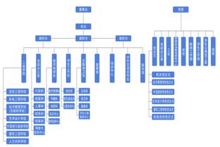 厦门南洋职业技术学院组织结构图