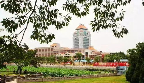旅行过年 春节来厦门,这些地方必去不可