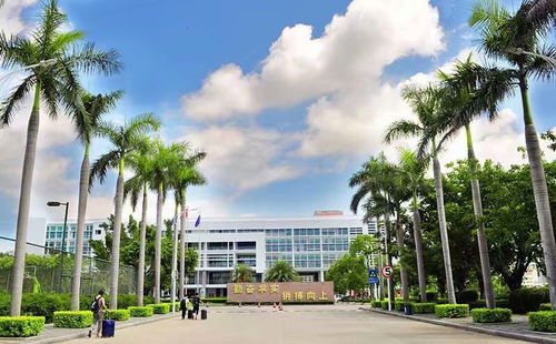 厦门南洋学院对漳浦人招生啦,这个专业很适合咱漳浦人