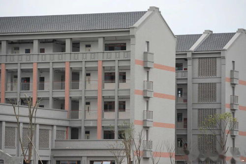 实景图曝光 应麟书院 宁波艺术实验学校明湖校区长这样 还有两所家长期待的 书院 9月使用