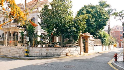 厦门 毕业旅行,来厦门找 厦门