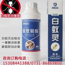 厦门南洋风情 东西方文化的交汇之地