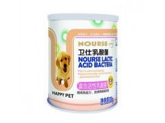 厦门宠物药品与用品指南 从“狗哥”到“厦门南洋”的消费选择