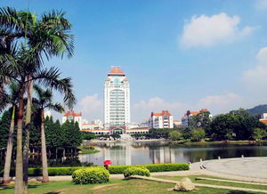 随意的厦门，随意的自己