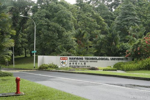 一块青石板的百年回响 小渔村如何孵出三所世界名校
